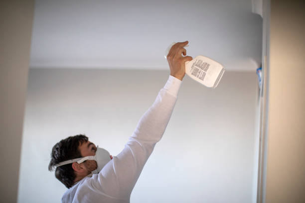 Best Kitchen Mold Remediation in Beeville, TX